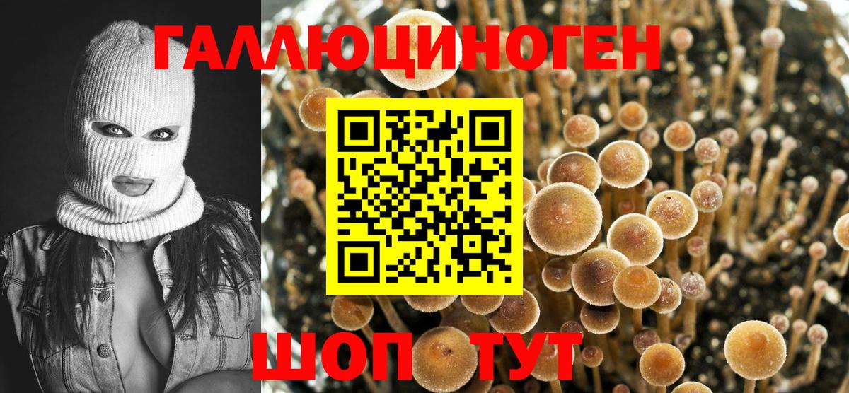 Троицк  Галлюциногенные грибы ЛСД  Псилоцибиновые грибы Magic Shrooms  Вход с VPN 