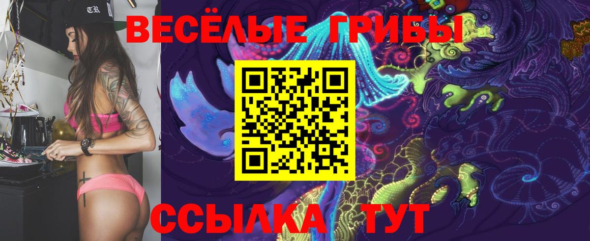 Галлюциногенные грибы Psilocybine cubensis Троицк